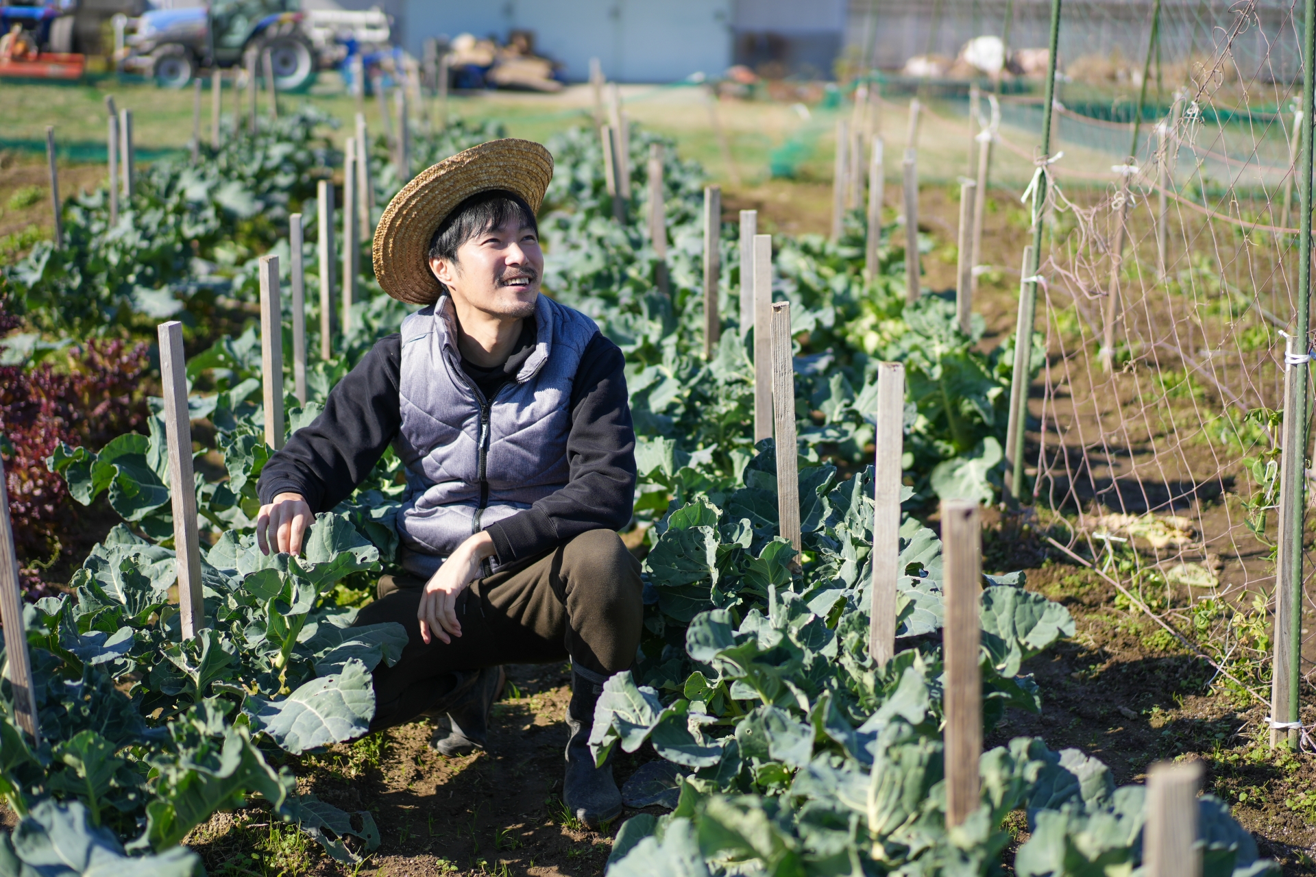 畑で農作物を収穫する笑顔の30代男性