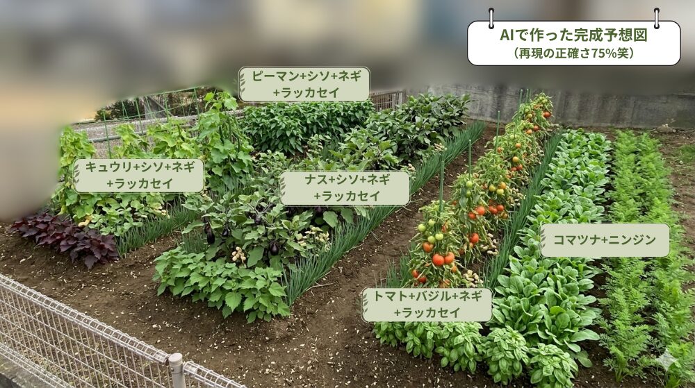 コンパニオンプランツを意識した、畑の作物植え付け計画。AIを使って実写風にイメージを生成したもの。