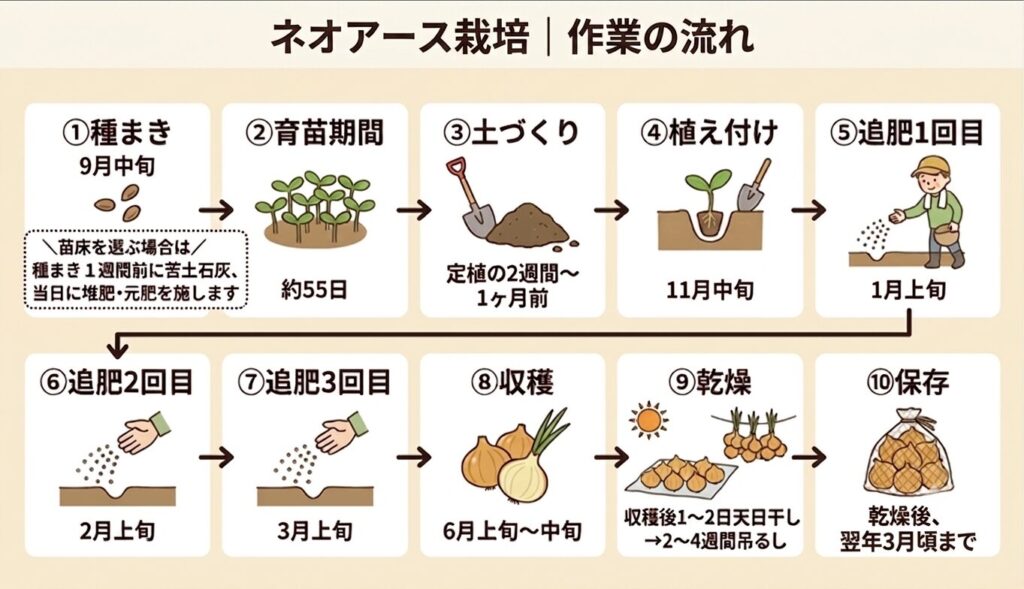 種まきから収穫までの作業の流れを示す図解